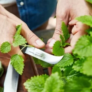 Wüsthof Erntemesser Urban Farmer 16