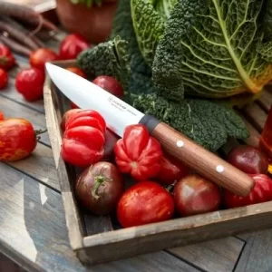 Wüsthof Erntemesser Urban Farmer 12