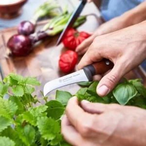Wüsthof Erntemesser Urban Farmer 14